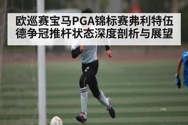 欧巡赛宝马PGA锦标赛弗利特伍德争冠推杆状态深度剖析与展望（kaiyun）